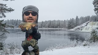 Unveiling the Snake River Spillway's Wintertime Fish Hotspots: A Deep Dive