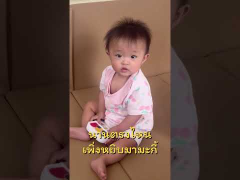 ล่าสุดลูกบ้านนี้แย่งของกันแล้ว!!! ทำไงดีคะเนี่ย?? #อวดลูก #เด็กน่ารัก #เด็กแฝด #AdenVa