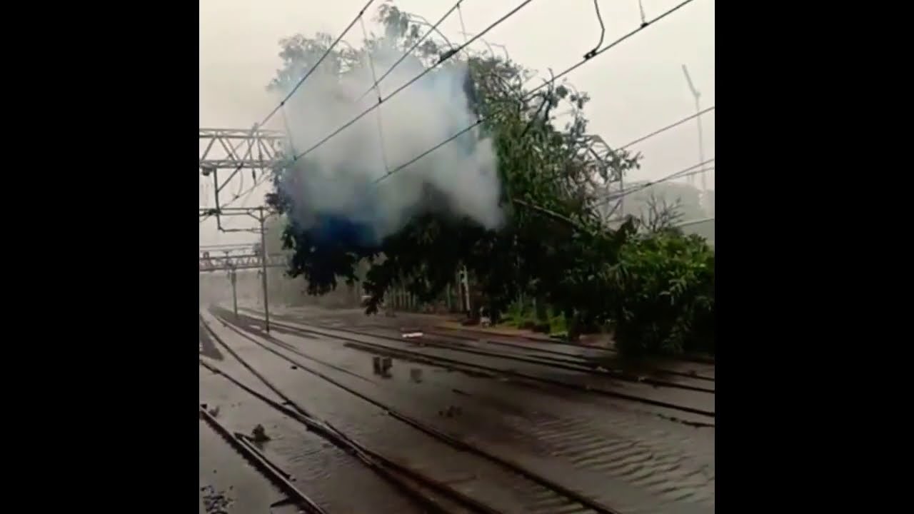 Mumbai  floods 2020 | Heavy Rain, Flooding In Mumbai, Local Trains Stopped