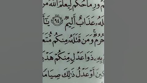 أحكام تجويد سورة المائده 94. 95