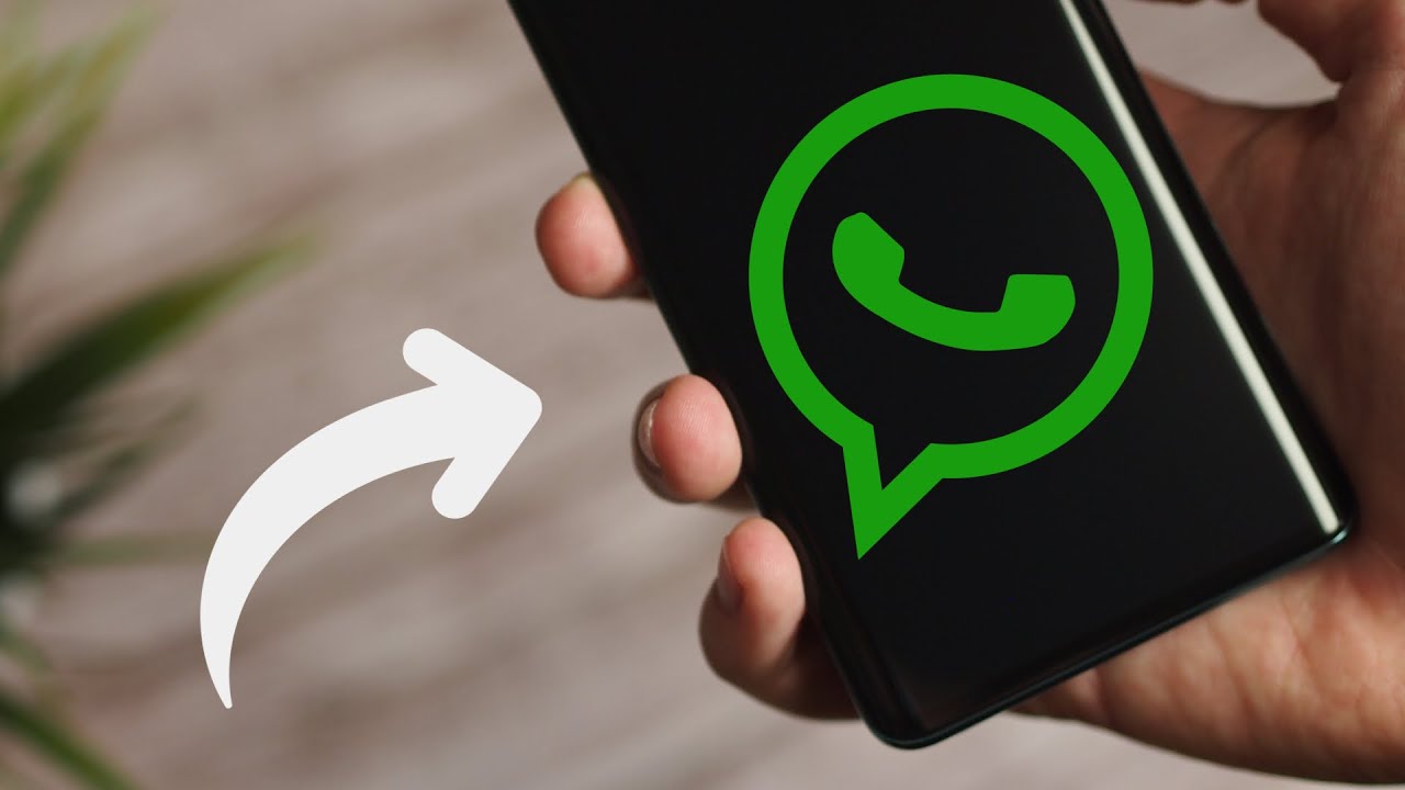 💡 TOP 7 WhatsApp tipů a triků, které musíte v roce 2021 určitě vyzkoušet!