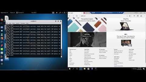 Ethical Hacking Course: Module 08 - Sniffing Traffic Lab Session