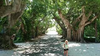Florida Boating Adventure in Boca Grande July '19