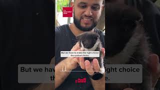 10,000 spay/neuter surgeries in less than two years