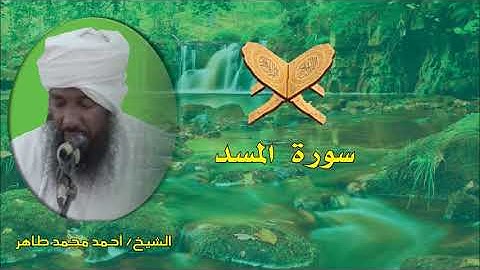 سورة المسد الشيخ احمد محمد طاهر