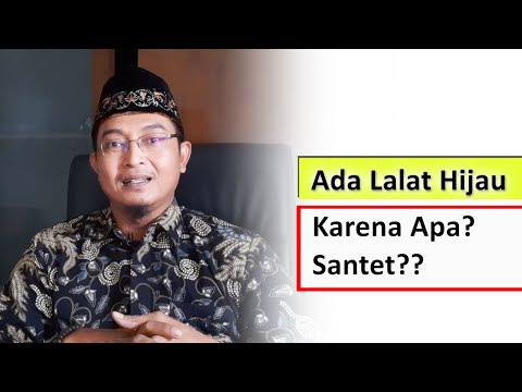 7 Penyebab Adanya Lalat Hijau di Warung Makan yang Bukan Santet