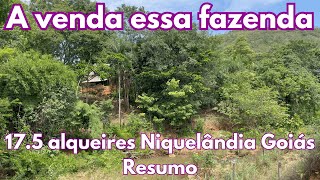 A venda essa fazenda de 17.5 alqueires - Niquelândia Goiás RESUMO