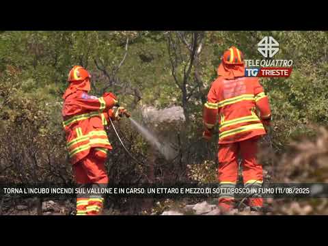 TORNA L'INCUBO INCENDI SUL VALLONE E IN CARSO: UN ETTARO E MEZZO DI SOTTOBOSCO IN FUMO | 11/08/2025