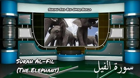 Surat Al-Fīl (The Elephant) | سورة الفيل رواية حفص عن عاصم