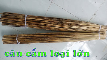 Bán cần câu cắm cá lóc loại lớn, chuyên trị cá to 4 - 5kg