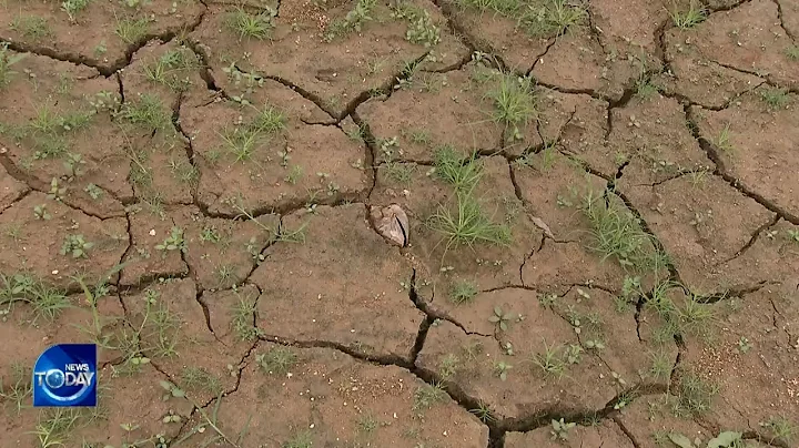 SOUTHERN REGION SEES EXTREME DROUGHT [KBS WORLD News Today] l KBS WORLD TV 220707