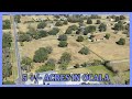 5 +/- Acres In Ocala | FOR SALE BY OWNER | Asking Price: $200K or Best Offer | Hosted By Ira Miller