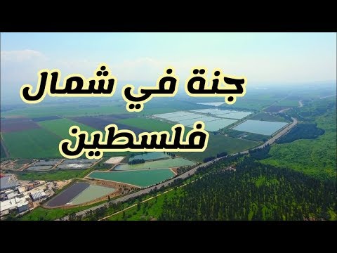 سهل الحولة قضاء صفد جنة شمال فلسطين