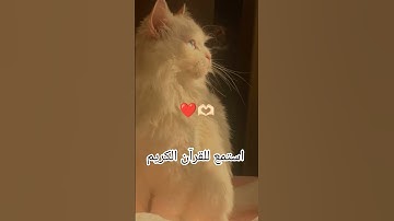 اكتب شيء تؤجر عليه يوم القيامة 😴🤍 #آيات_الرحمة #المصحف #اللهم_صل_على_محمد_وال_محمد #قران_كريم