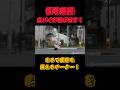 【白バイ】信号無視の車に5秒で追いつく白バイの痺れる取り締まり!
