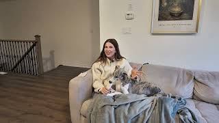 What we didn’t expect before getting our Whippet