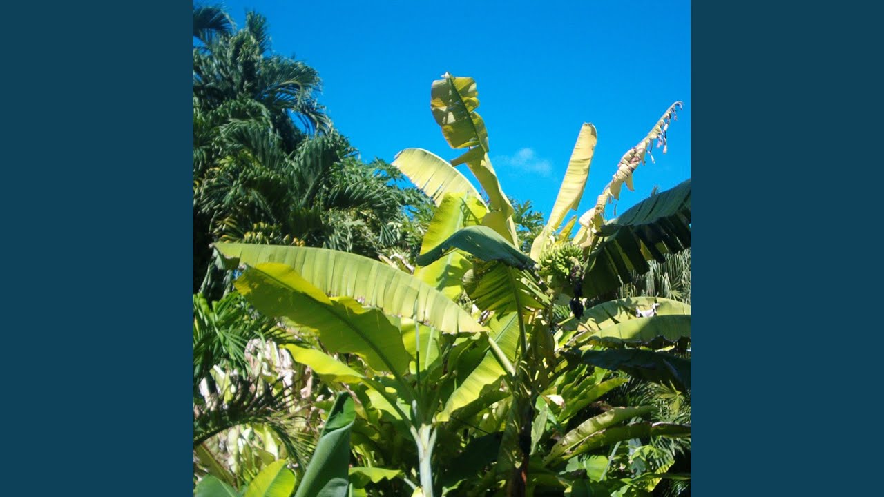 Смотреть «Exec Rocks» на YouTube Смотреть «Exec Rocks» на YouTube