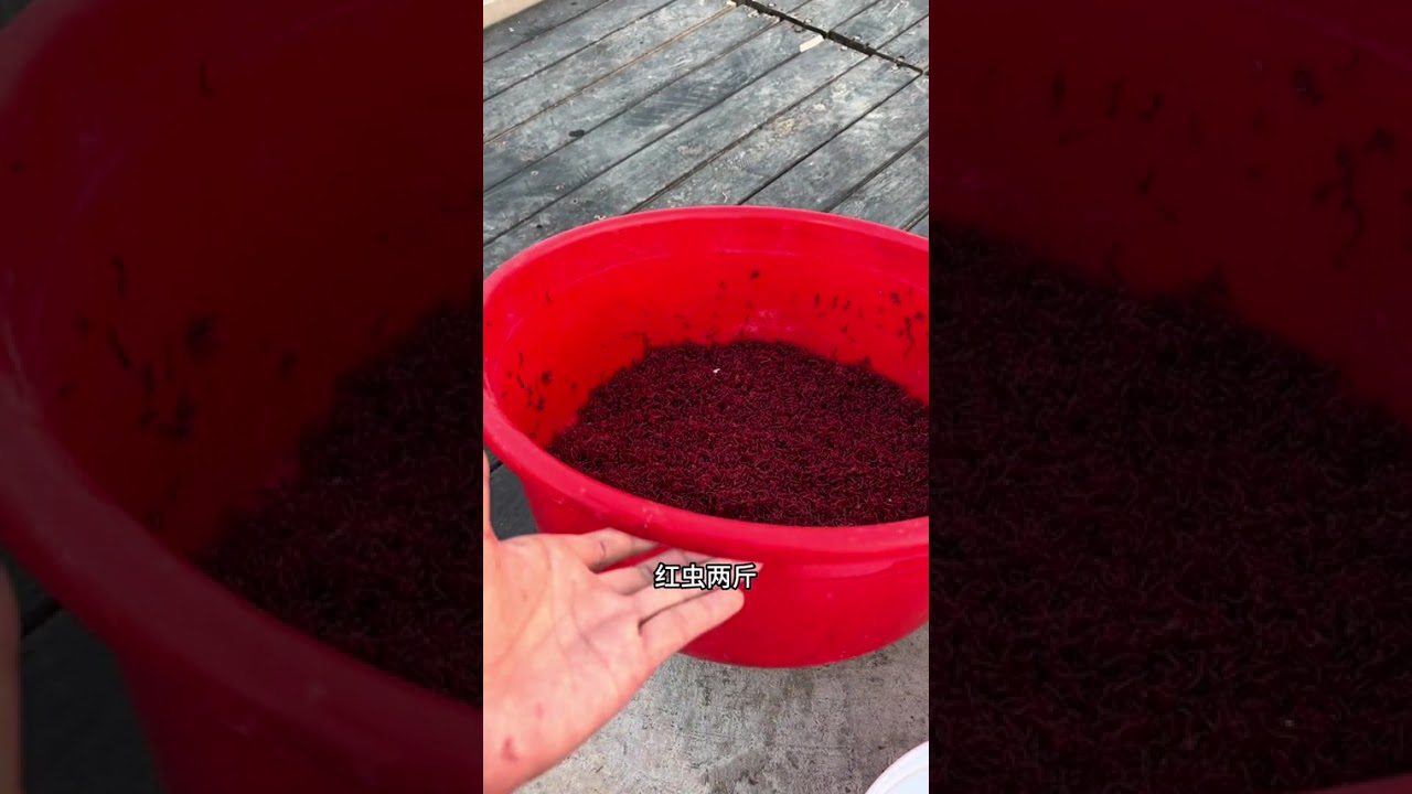 鱼换万物，换的是陌生人之间的关怀，让交换充满人情味，而非斤斤计较得失