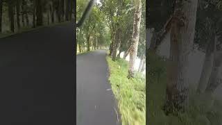 Awesome Road View Road Ride #nature #roadtrip #rider #scenery