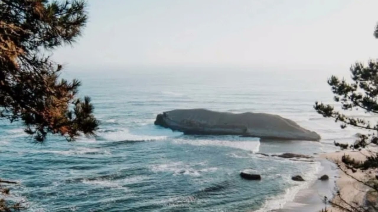 [Free] "Dare" Emotional US Trap Beat | Flute US Type Beat