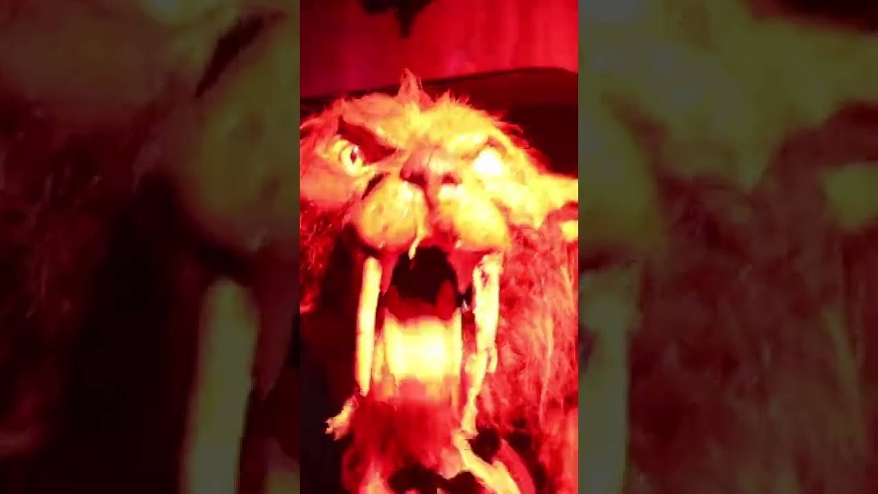 Fiesta De chupacabra at Halloween Horror Nights Orlando #halloween #hauntedhouse #hhn #hhn31