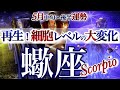 さそり座 5月中旬~後半【激変生まれ変わり級!細胞レベルのリセットで大好転】約束された再生の時 2026年5月 さそり座運勢 タロット scorpio may