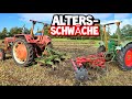 ACKERN mit den OLDIES! | Scheibenegge und Grubber hinterm Deutz F2l612 und McCormick D430 | Mr. Moto
