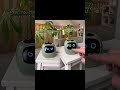 POV: You can finally keep a plant alive