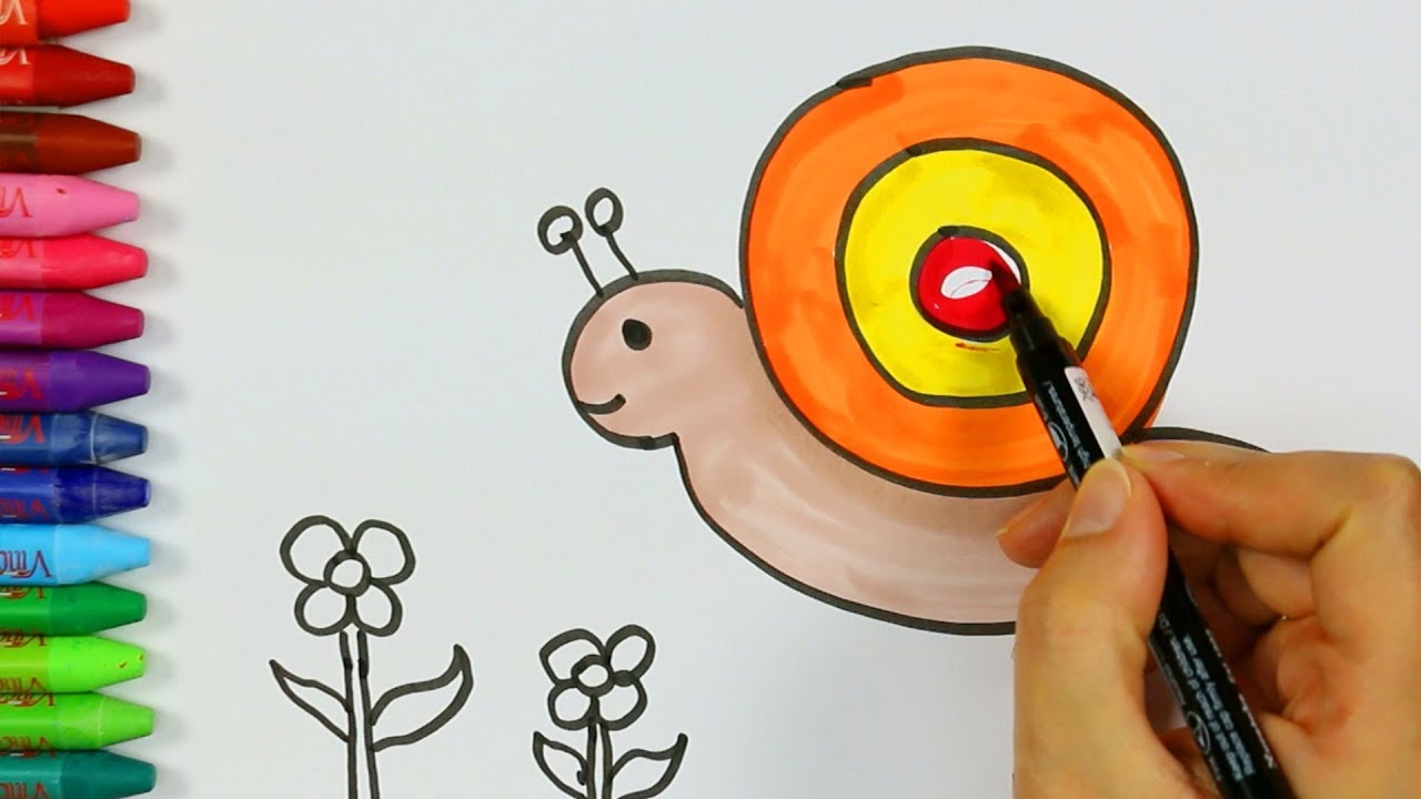 Dibujos para colorear juegos de pintar caracoles 