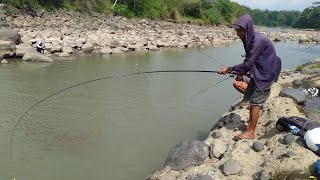Nilem Fish Baboon or Melt Subdue to Tegek's Fishing Rod