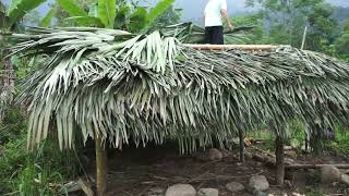 Rebuilding the shack after the storm destroyed the old shack/ quyet ngan farm