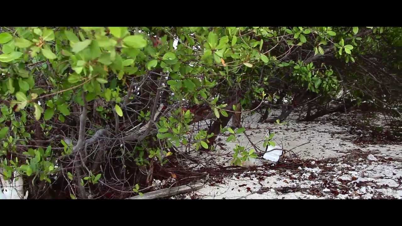 ELJAI - FOR YOU (Official Video)