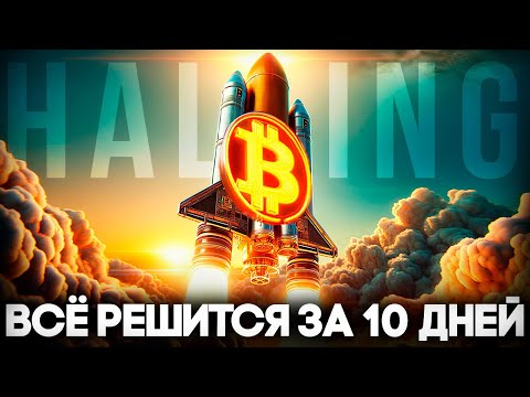 Биткоин Халвинг 80 000 Это Минимум! Криптовалюта Большой Прогноз Перед Bitcoin Халвингом