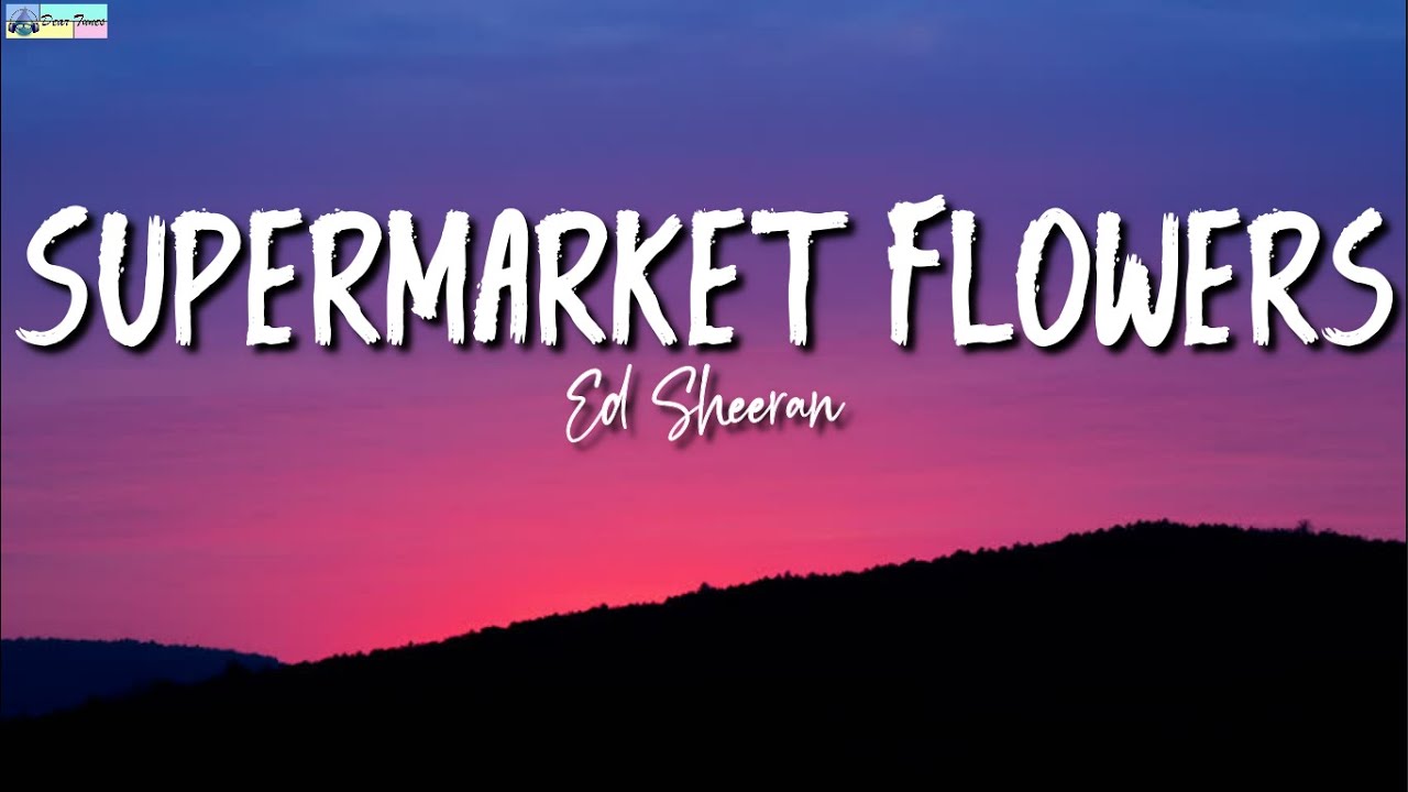 Supermarket Flowers Lyrics   Ed Sheeran