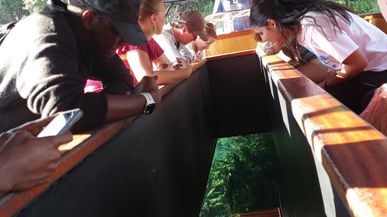 Meadows Center Glass-Bottom Boat Tours । Texas State University