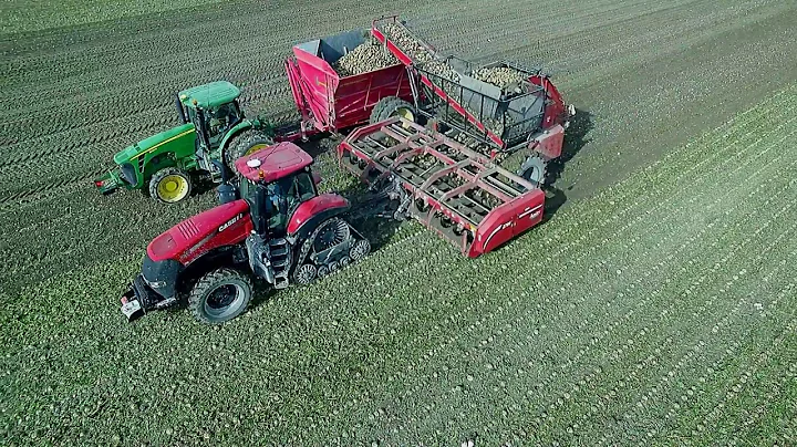 Bernia Family Farms, Inc Sugar Beet Harvest 2016