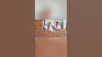 Hùng Trọc và Tí béo xây tường kín lớp để troll Capybara #capybara #shorts