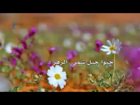طلال مداح حايل بعد حيي 
