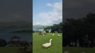 Comment for location #lakeview #lonavala #naturelovers #peace