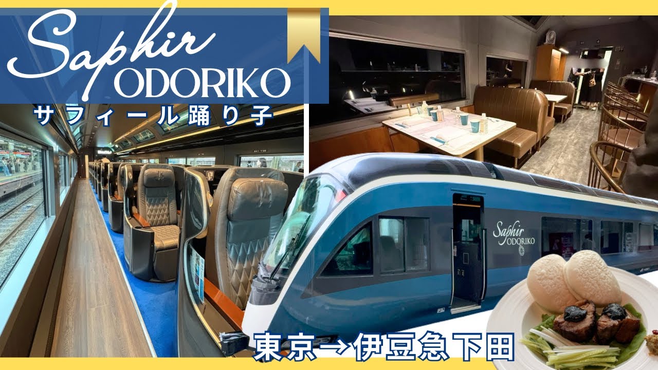【JR東日本・サフィール踊り子】プレミアムグリーン席、最前列で楽しむ贅沢な列車旅をしてきました！|東京駅→伊豆急下田駅