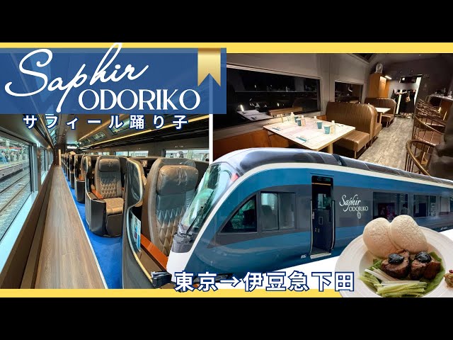 JR東日本・サフィール踊り子】プレミアムグリーン席、最前列で楽しむ