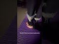 Trample hand heels