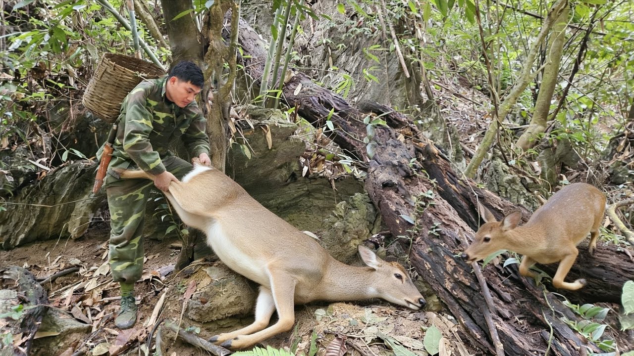 Full video: 200 days of tracking quail, wild boars, and deer,, survival skills
