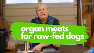 Raw Organ Meat For Dogs