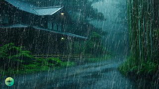 Sleep INSTANTLY with Torrential Rain & Thunder - Rain Sounds for Sleep, Mental & Spiritual Healing by Natureza Relaxante 16,740 views 1 month ago 11 hours, 30 minutes