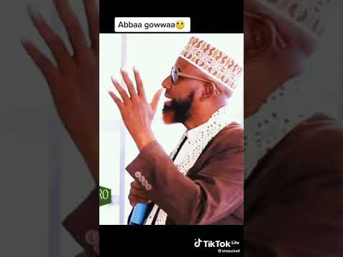 Shekh Amiin Ibroo Shorts