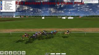 NH WK13 R35 Starters Orders 6 Chase Final
