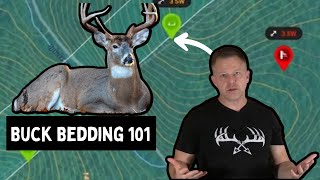 How Bucks Choose Their Bedding Areas | Buck Bedding 101