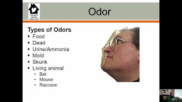 Mastering Odor Control in Wildlife: Expert Tips and Strategies for Effective Odor Removal