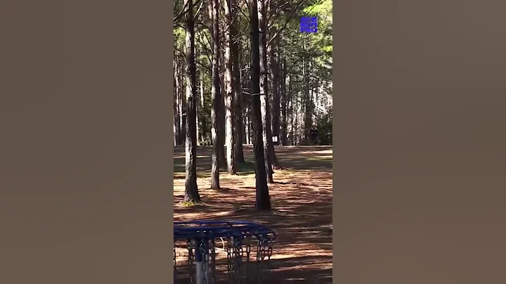 Jared Neal nearly gets the  ace during the 2021 Fr...